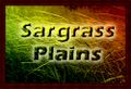 SargrassPlains.jpg