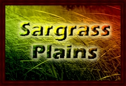 Sargrass Plains